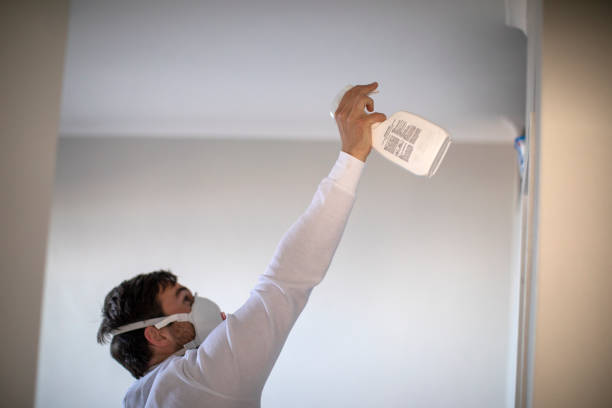 Best Residential Mold Remediation in Pleasureville, PA